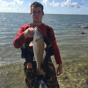 Meet your Posher, Hunter